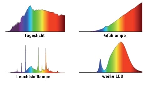 Vier Diagramme mit spektralen Verteilungen von Tageslicht, Glühlampe, Leuchtstofflampe und weißer LED